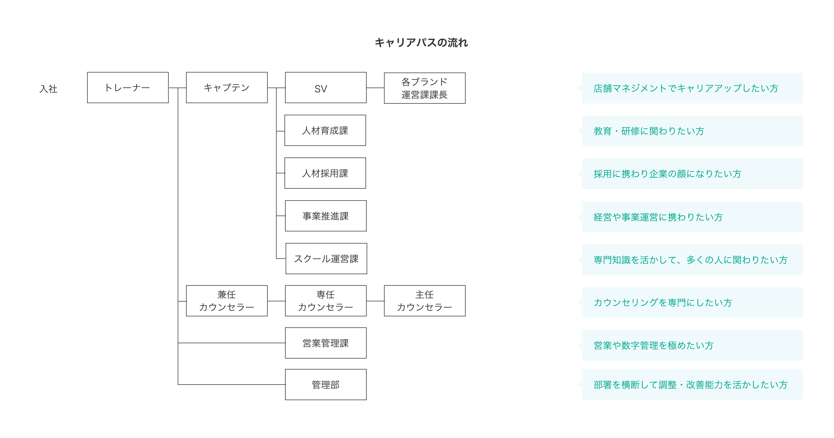 キャリアパスの流れ